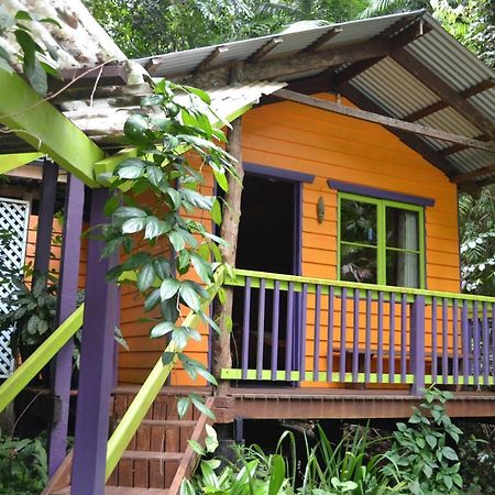 Rainforest Hideaway Cape Tribulation Buitenkant foto