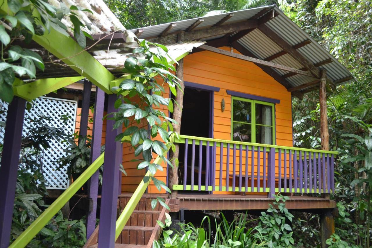 Rainforest Hideaway Cape Tribulation Buitenkant foto