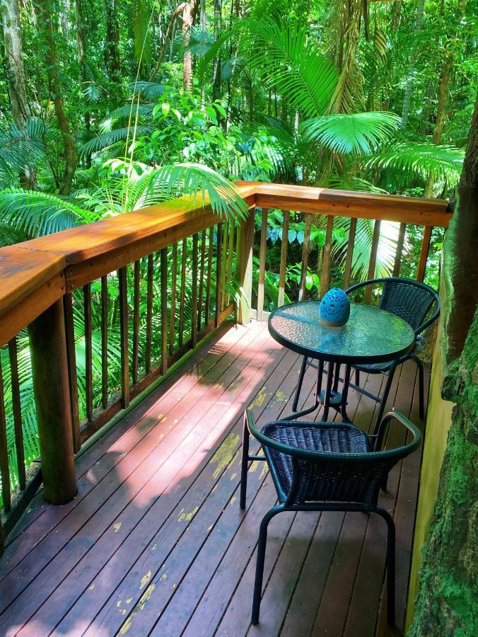 Rainforest Hideaway Cape Tribulation Buitenkant foto