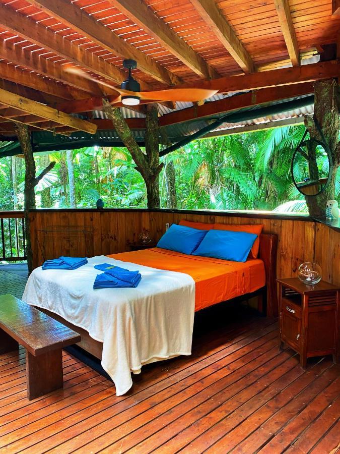 Rainforest Hideaway Cape Tribulation Buitenkant foto