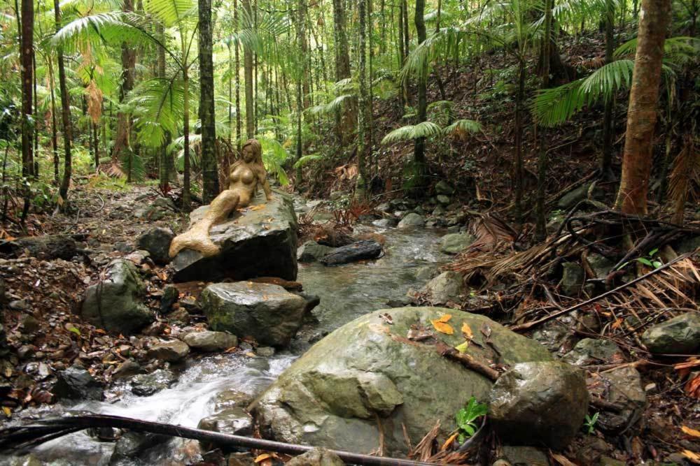 Rainforest Hideaway Cape Tribulation Buitenkant foto