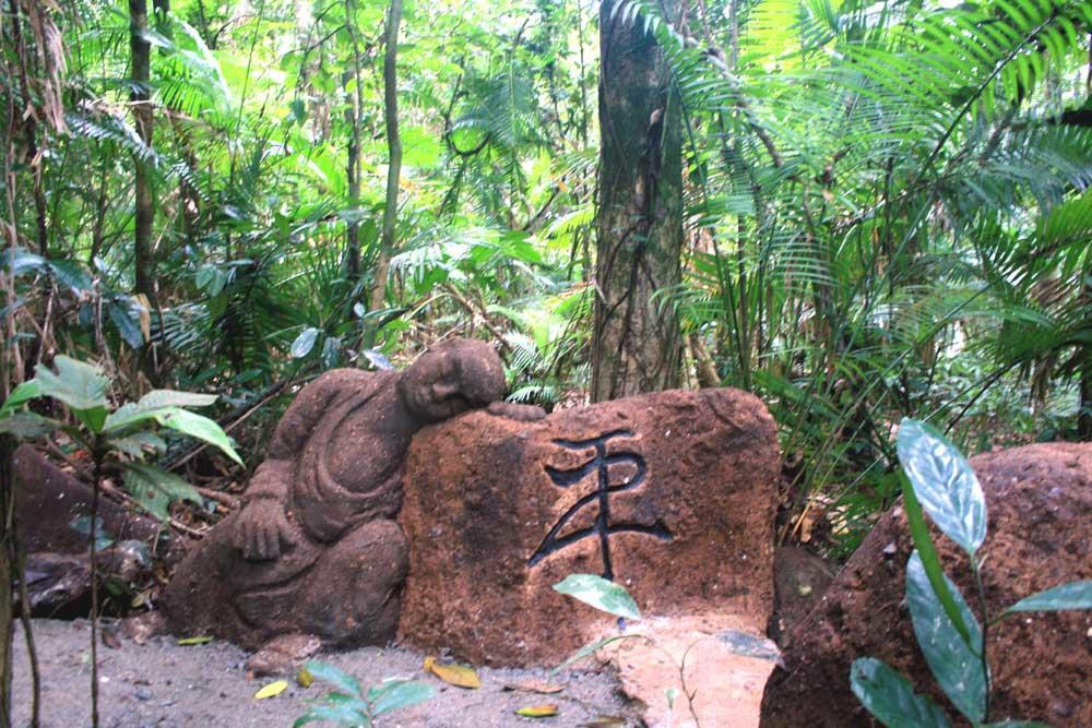 Rainforest Hideaway Cape Tribulation Buitenkant foto